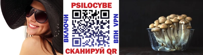 Галлюциногенные грибы GOLDEN TEACHER  Купить где  Арск 